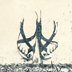 amélie vidgrain