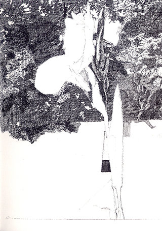 fleur 3, 2010, stylo sur papier, 20,9x14,7 cm
