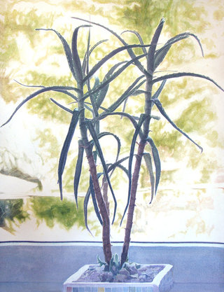 sans titre, 2012, aquarelle sur  papier,   65x50   cm